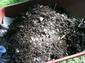 Compost from the Aerobin