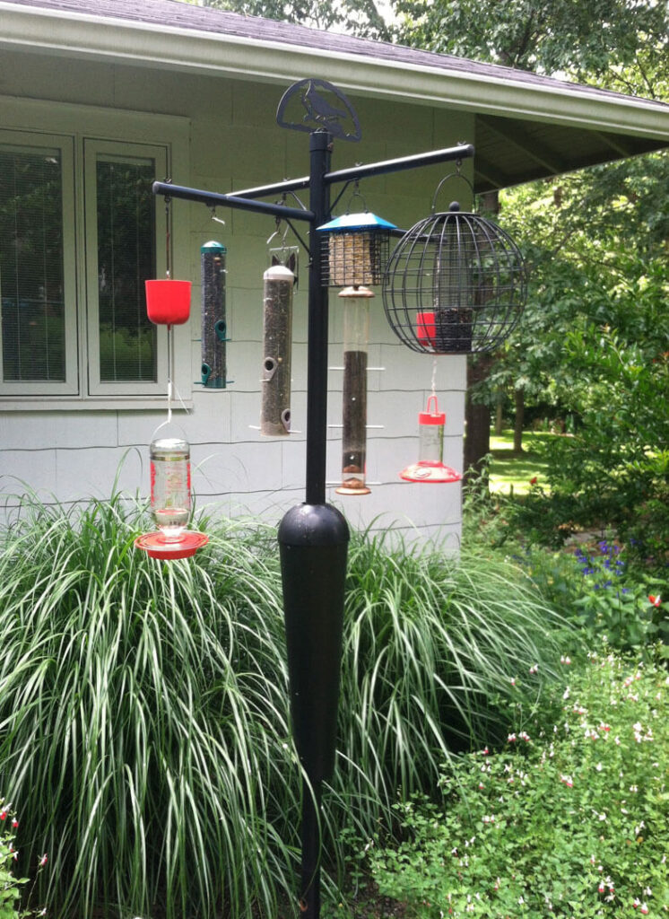 bird feeder pole squirrels squirrel feeders stopper seed multiple birds reaching stops prevent