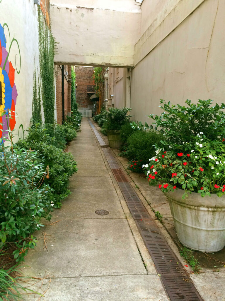 Alley garden