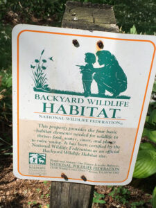 Certified backyard habitat