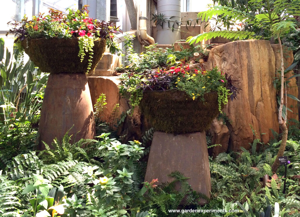 Large planters in the Tropical Conservatory