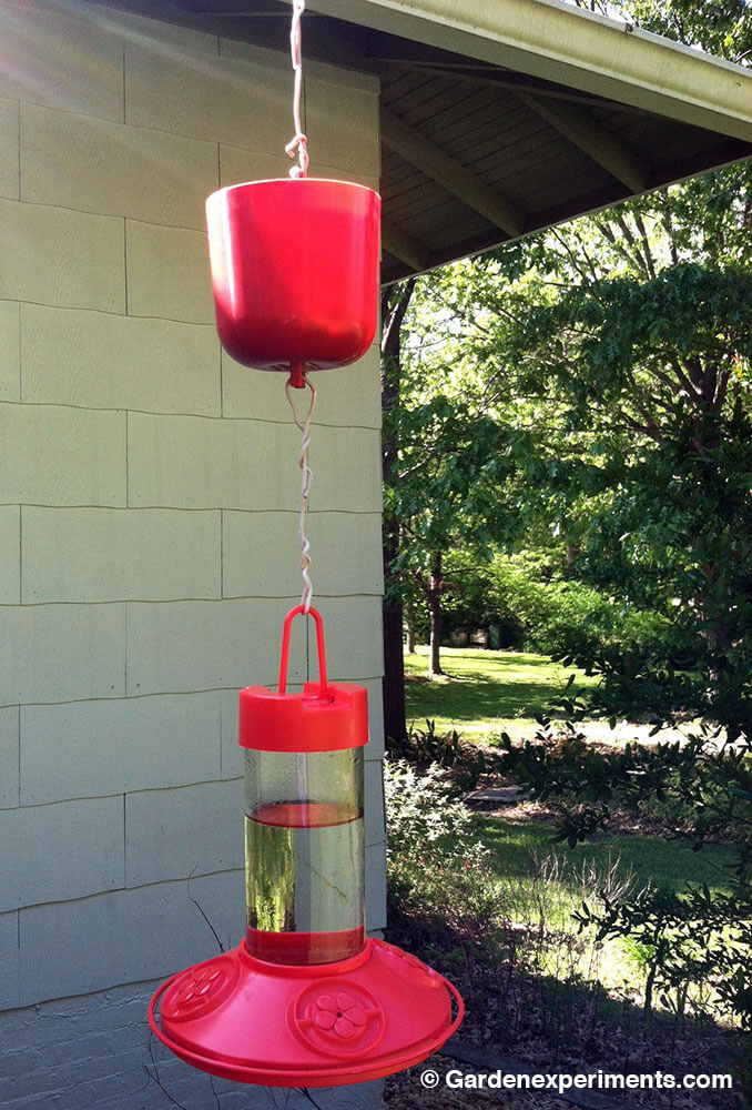 Ant Moat and Hummingbird Feeder