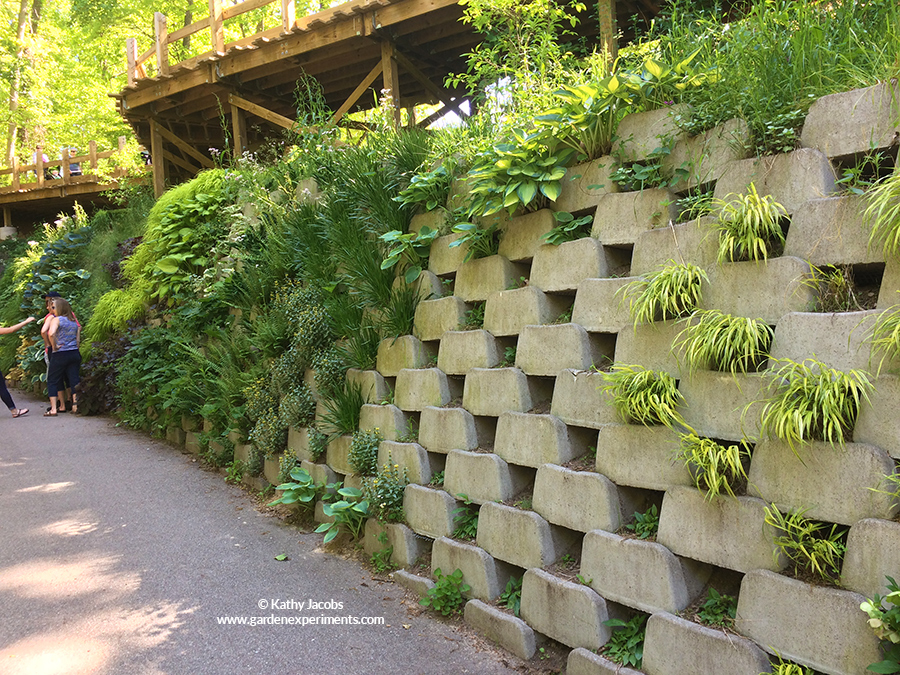 Living Wall of Shade Plants