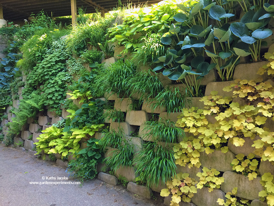 Living Wall of Shade Plants