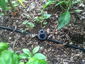 Sprinkler system in the middle of garden bed