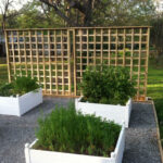 Finished trellis wall