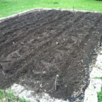 Tilled soil