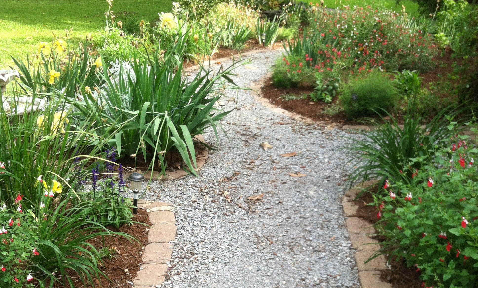 How To Create Good Wildlife Habitat In Your Backyard