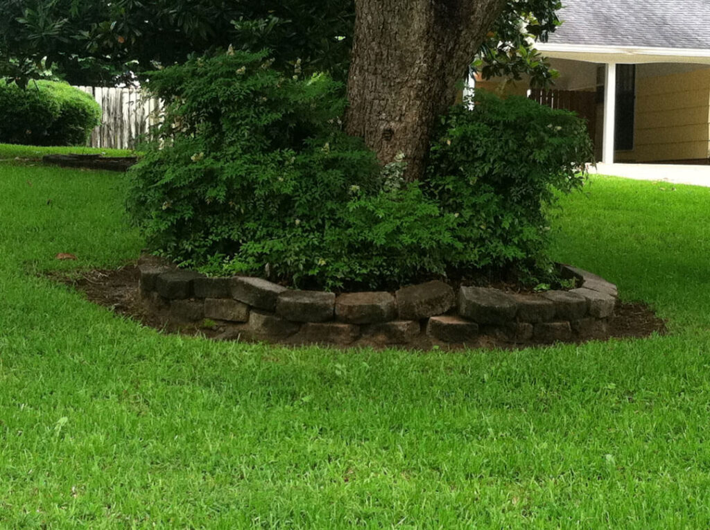 The owners of this tree created a raised bed and added shrubs