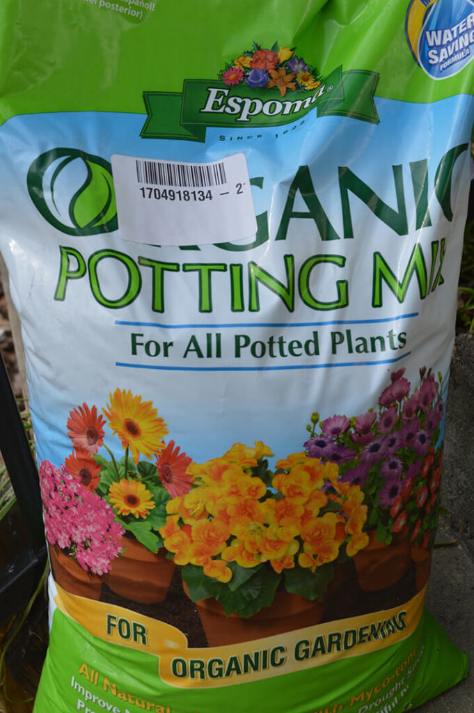 Use potting mix in the cups