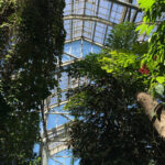 Roof of the conservatory