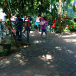 The tropical conservatory