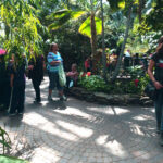The tropical conservatory
