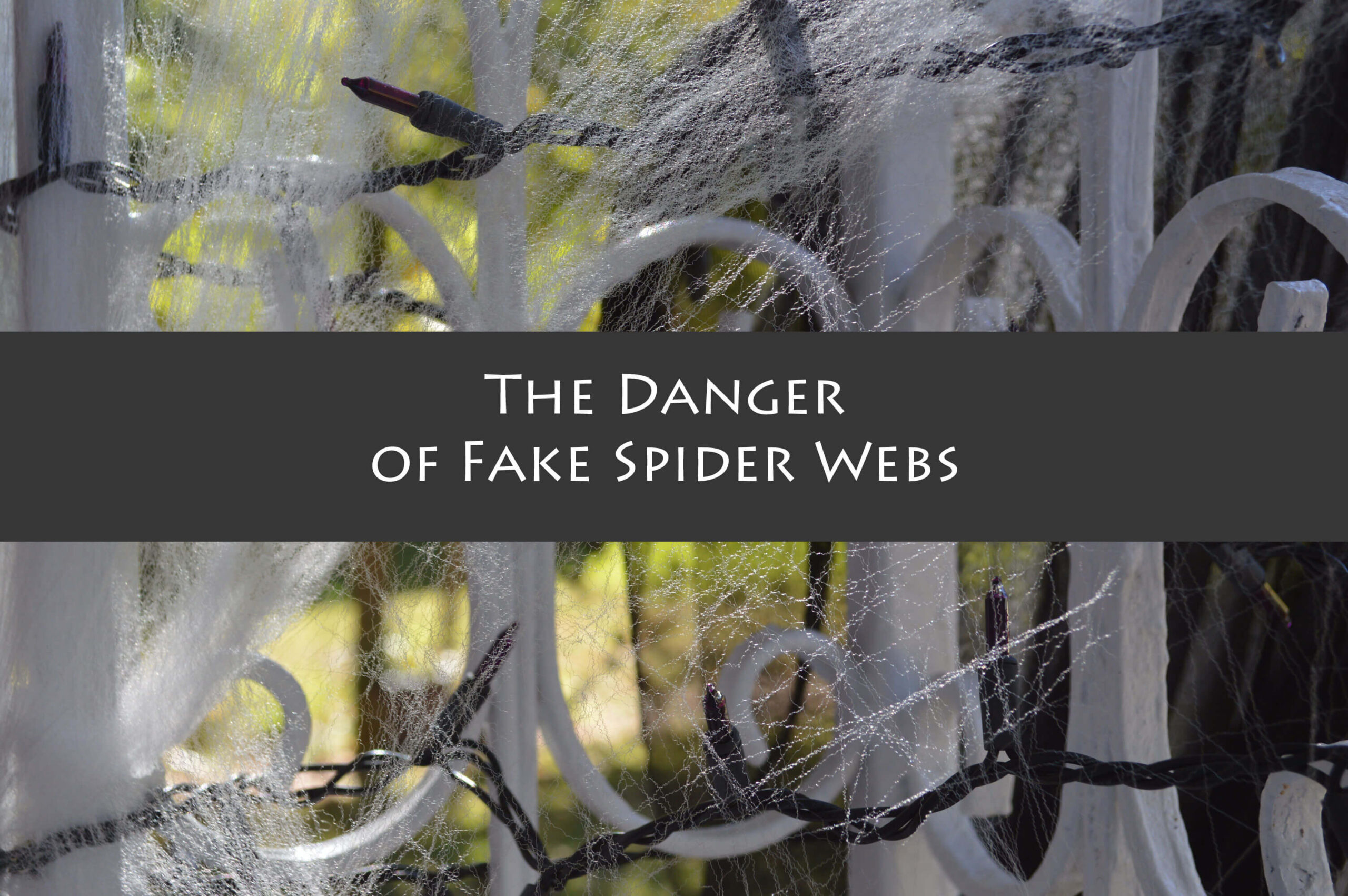 Fake spiders web deals