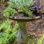 Don’t Throw Out that Old Bird Bath! Make It a Planter