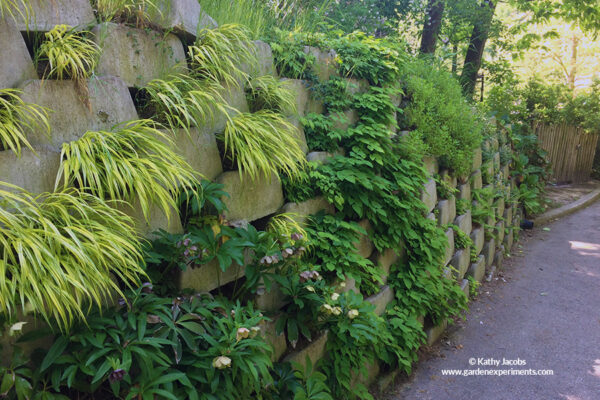 Living Wall at the Zoo