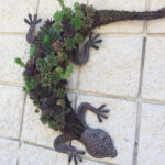 Gecko Succulent Wall Planter