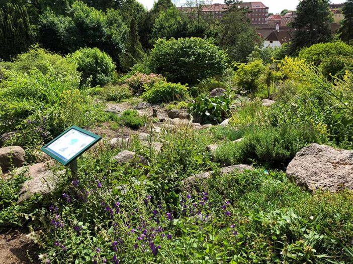 Tour of the Aarhus Botanical Garden in Denmark