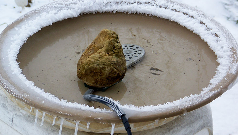 Bird bath with a heater in the water and a rock weighing down the heater