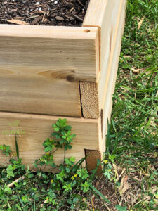 Corner of the raised garden bed showing two rows of boards with a predrilled hole