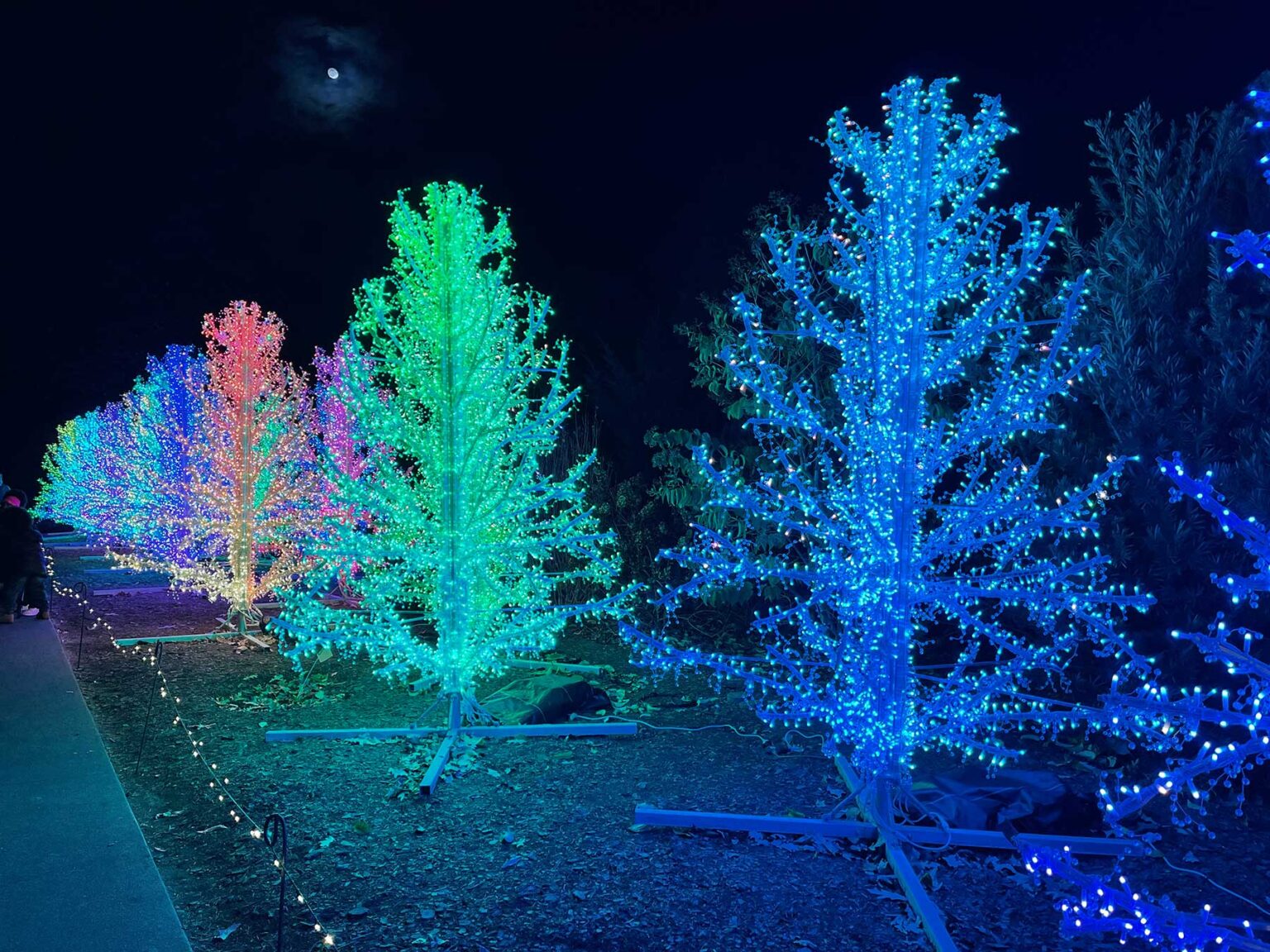 Garden Lights, Holiday Nights at the Atlanta Botanical Garden The Best Christmas Lights