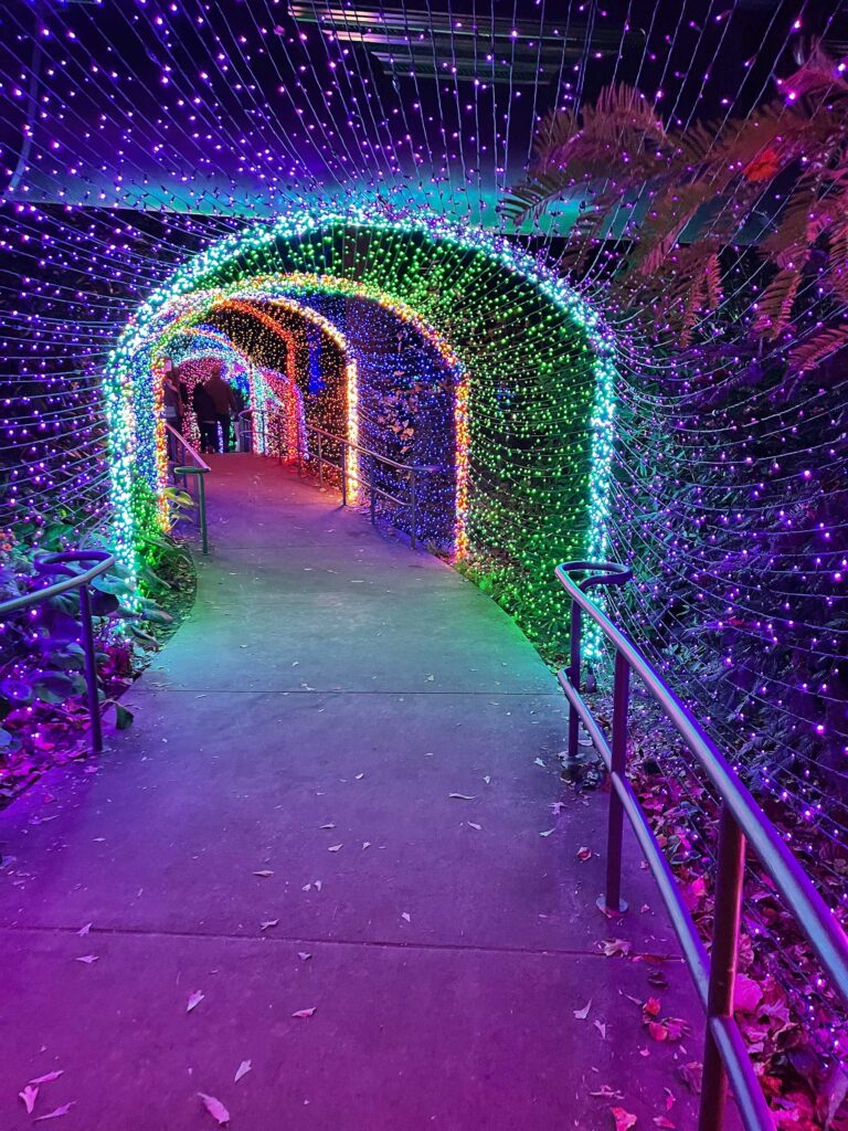 Tunnel of Light at Garden Lights - Atlanta Botanical Garden