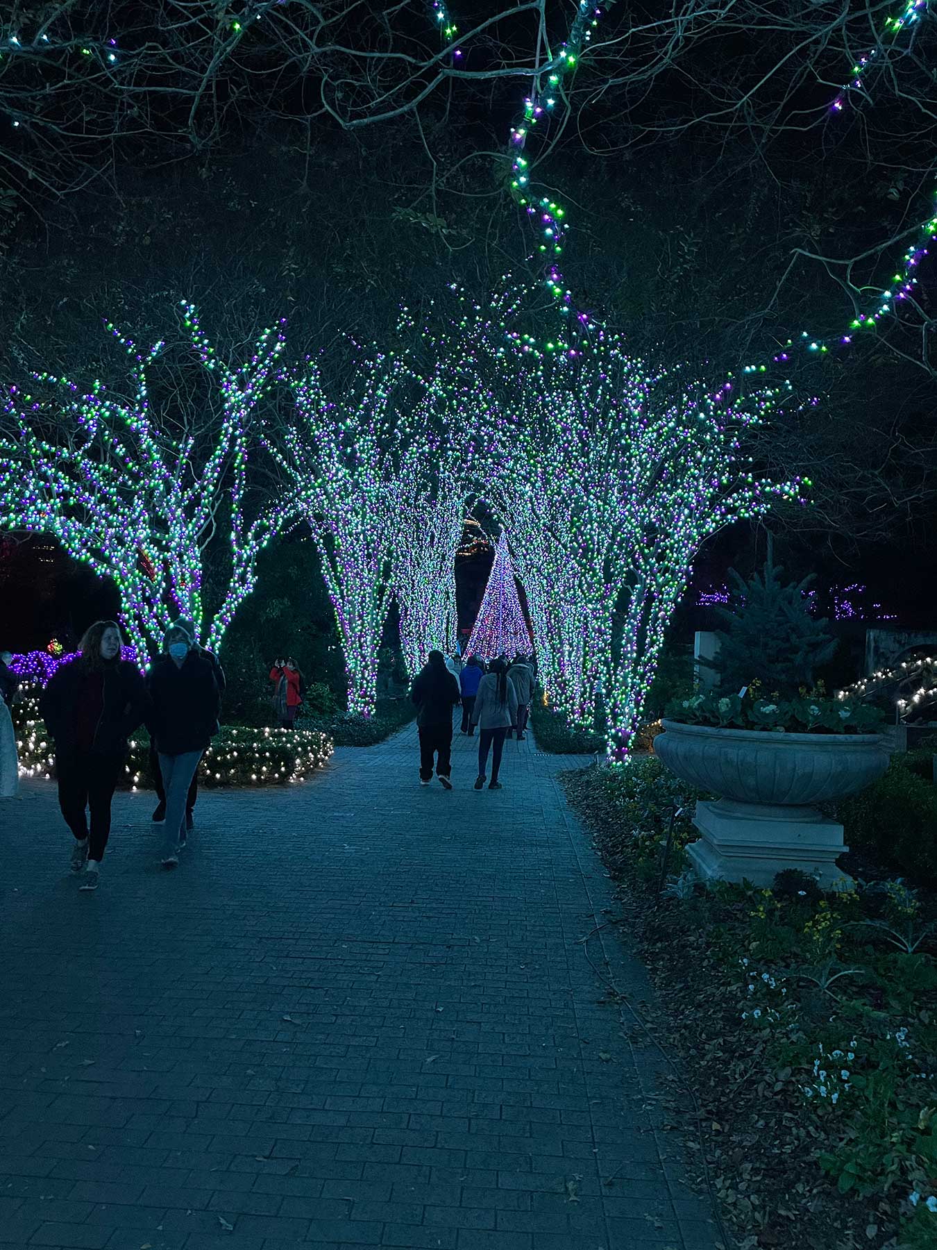 Garden Lights, Holiday Nights at the Atlanta Botanical Garden The Best Christmas Lights