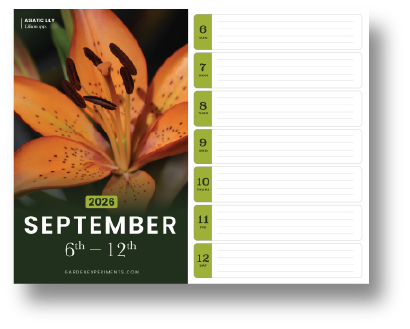 September Calendar 