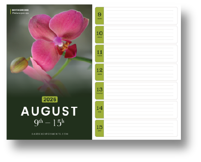 August Calendar