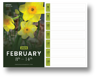 February Calendar